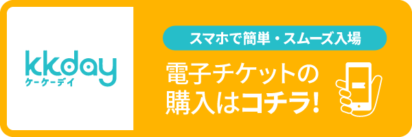 kkday（電子チケット）の事前予約